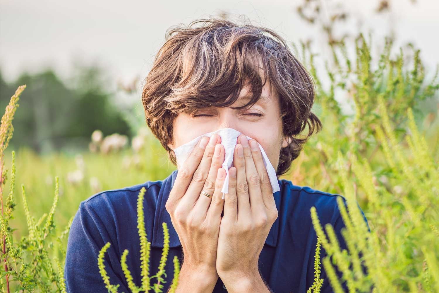Person mit braunen Haaren steht inmitten einer blühenden Wiese und hält sich ein Taschentuch vor die Nase. Die Augen sind zusammengekniffen, was auf einen Niesreiz oder Heuschnupfen hindeutet. Im Vordergrund sind Pflanzen mit Blütenständen zu sehen.