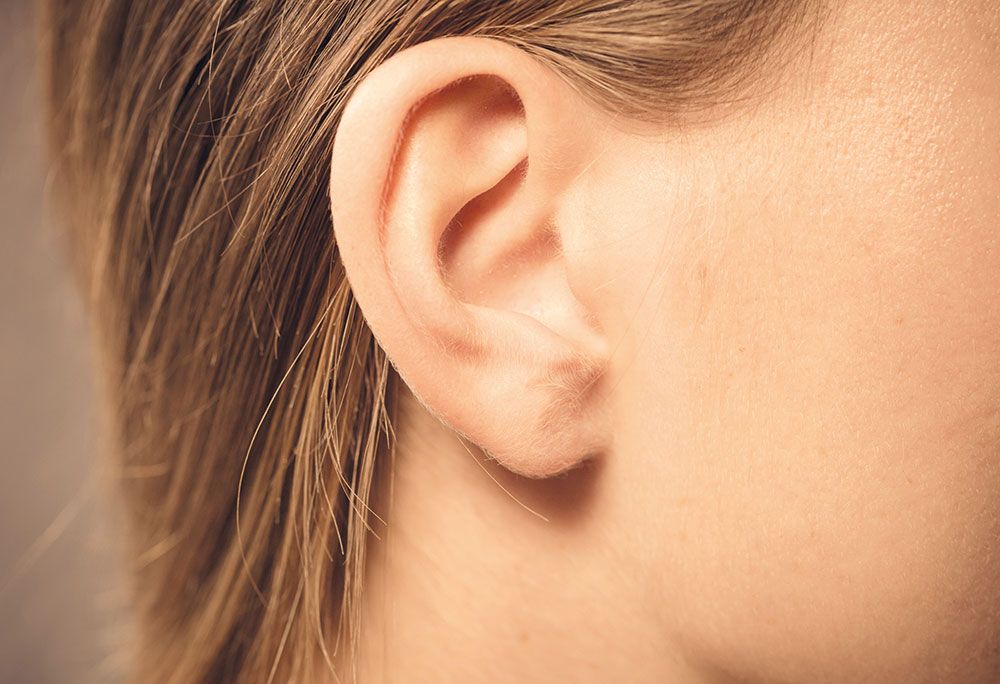 Nahaufnahme des rechten Ohrs. Blonde Haare wurden dahinter gesteckt.