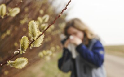 Kein Frühling ohne Pollen